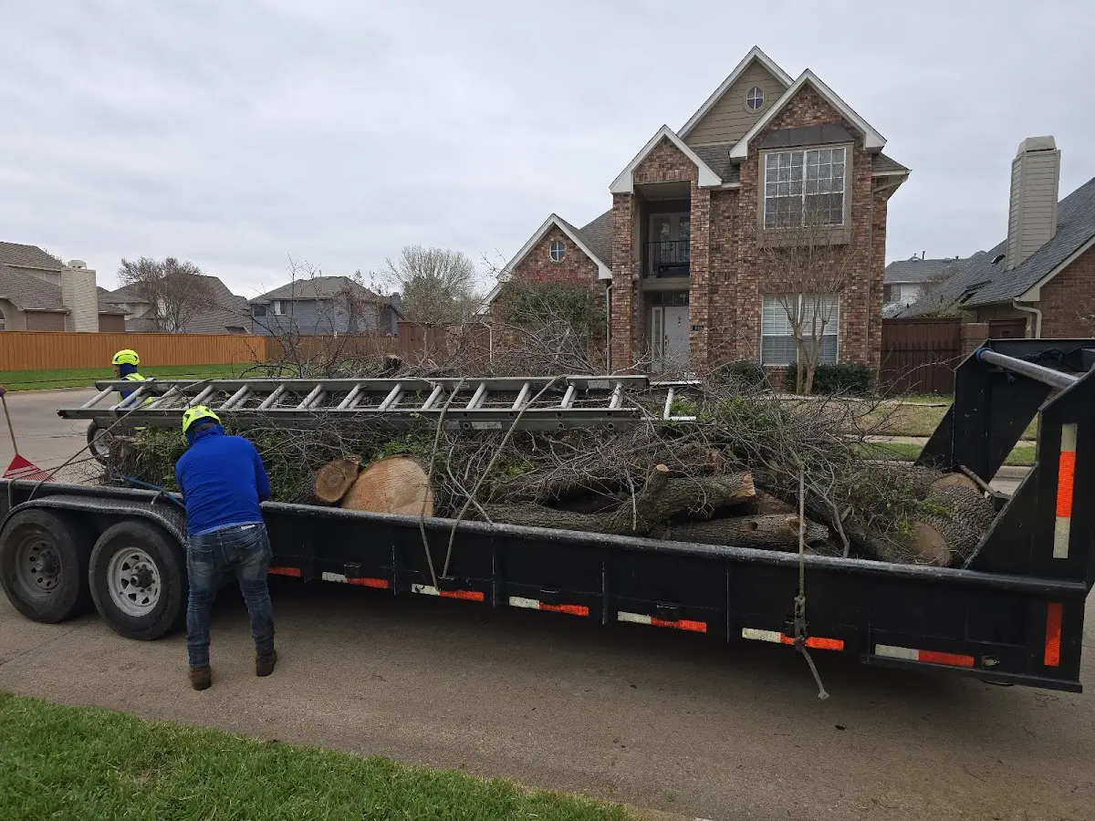 Expert Tree Pest Control with proper safety equipment in Jonesville